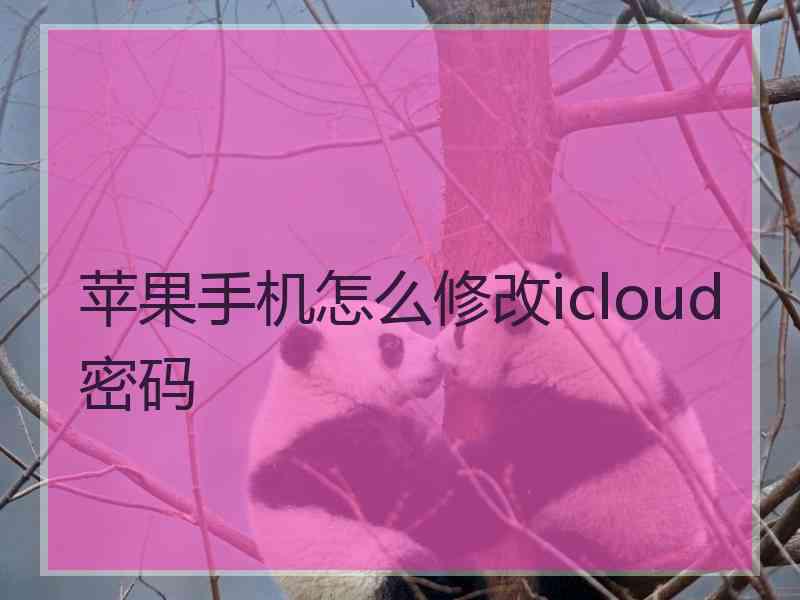 苹果手机怎么修改icloud密码