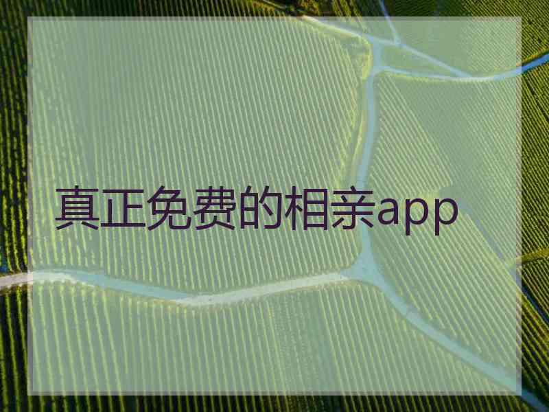 真正免费的相亲app