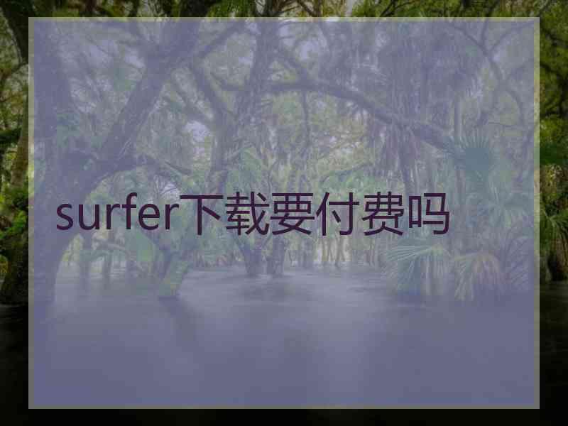 surfer下载要付费吗