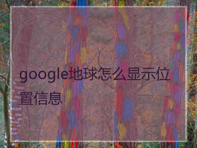 google地球怎么显示位置信息