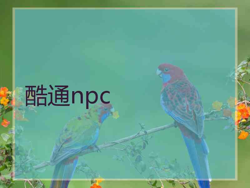 酷通npc