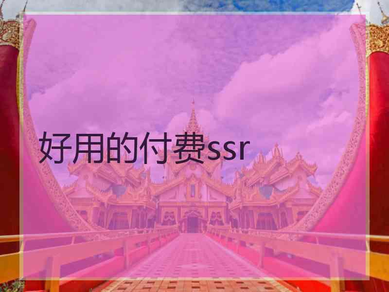 好用的付费ssr