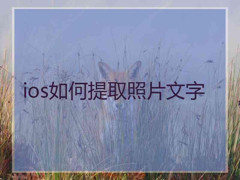 ios如何提取照片文字