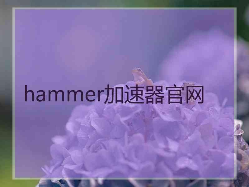 hammer加速器官网