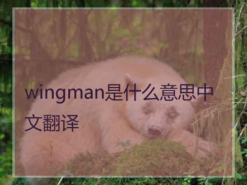 wingman是什么意思中文翻译