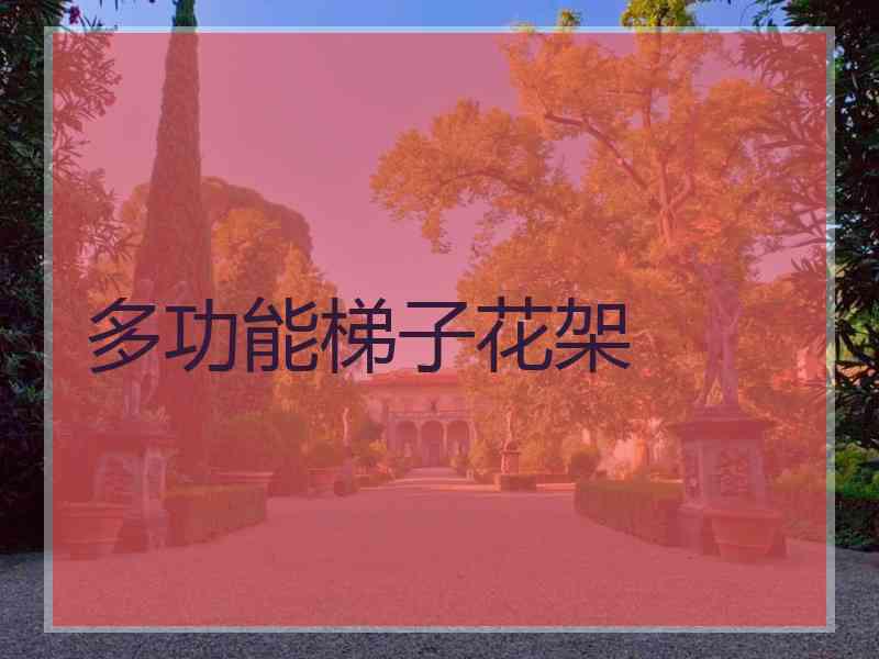 多功能梯子花架