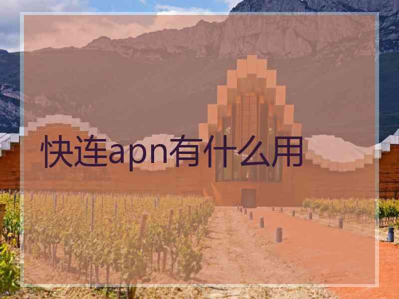 快连apn有什么用