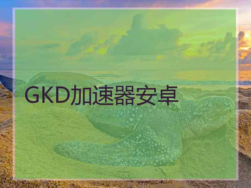 GKD加速器安卓