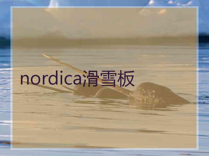 nordica滑雪板