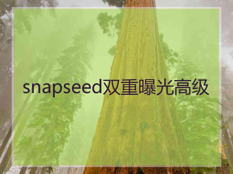 snapseed双重曝光高级