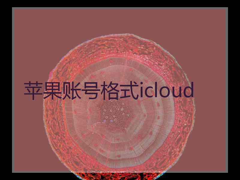 苹果账号格式icloud