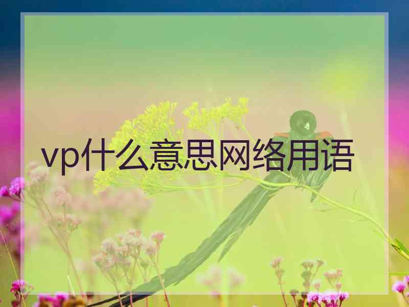 vp什么意思网络用语