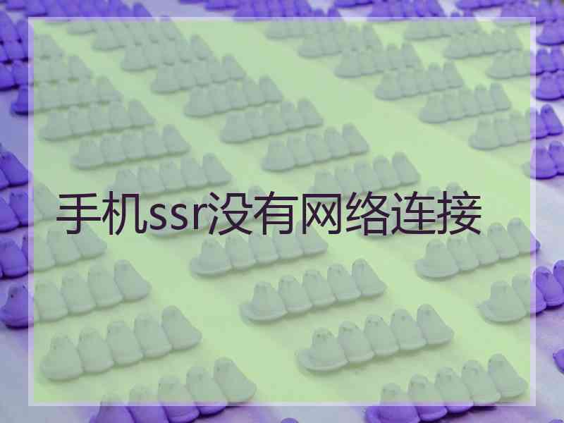 手机ssr没有网络连接