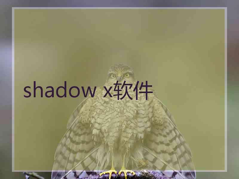 shadow x软件