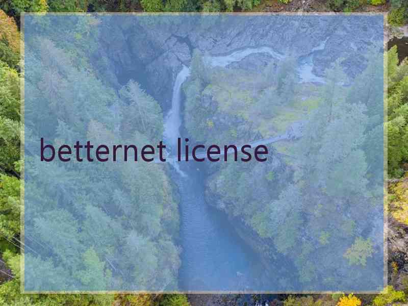 betternet license