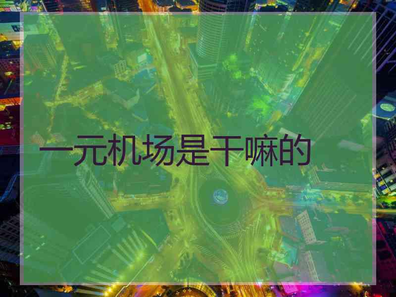 一元机场是干嘛的