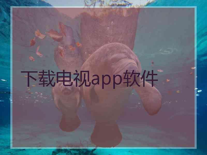 下载电视app软件