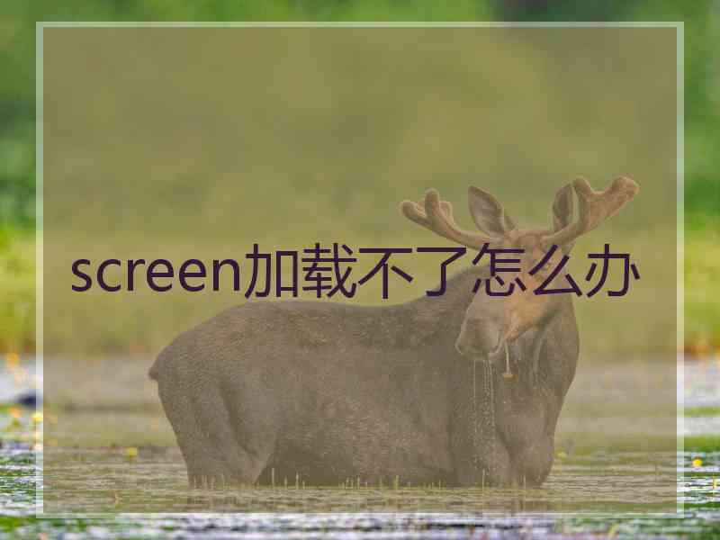 screen加载不了怎么办