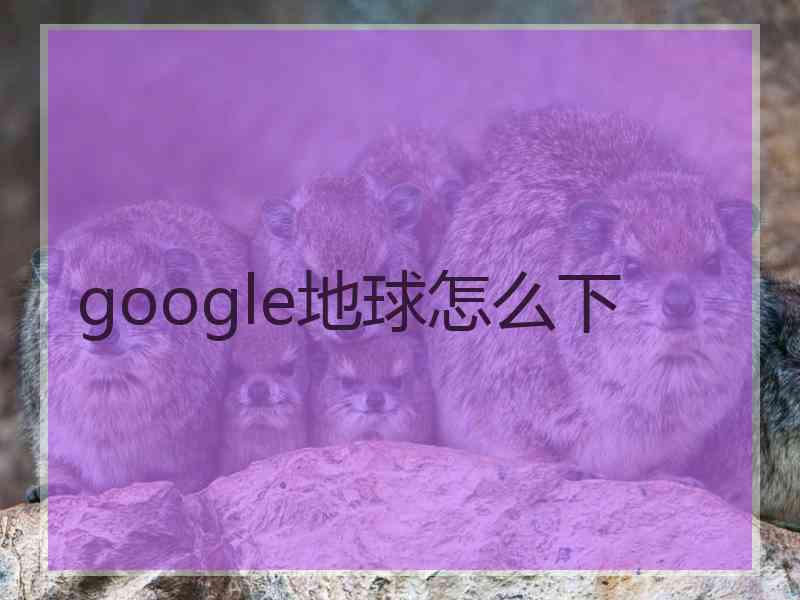 google地球怎么下