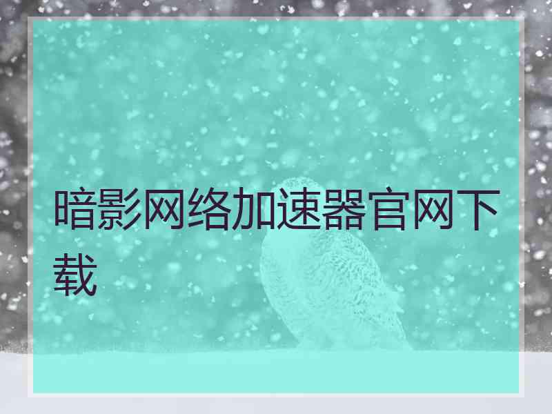 暗影网络加速器官网下载