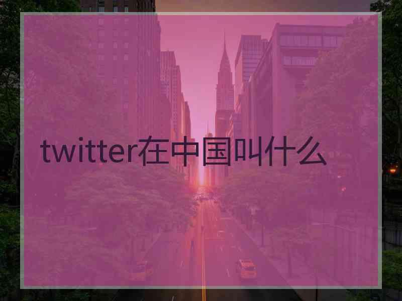 twitter在中国叫什么