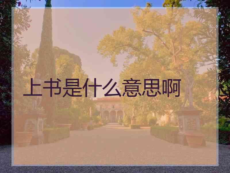 上书是什么意思啊