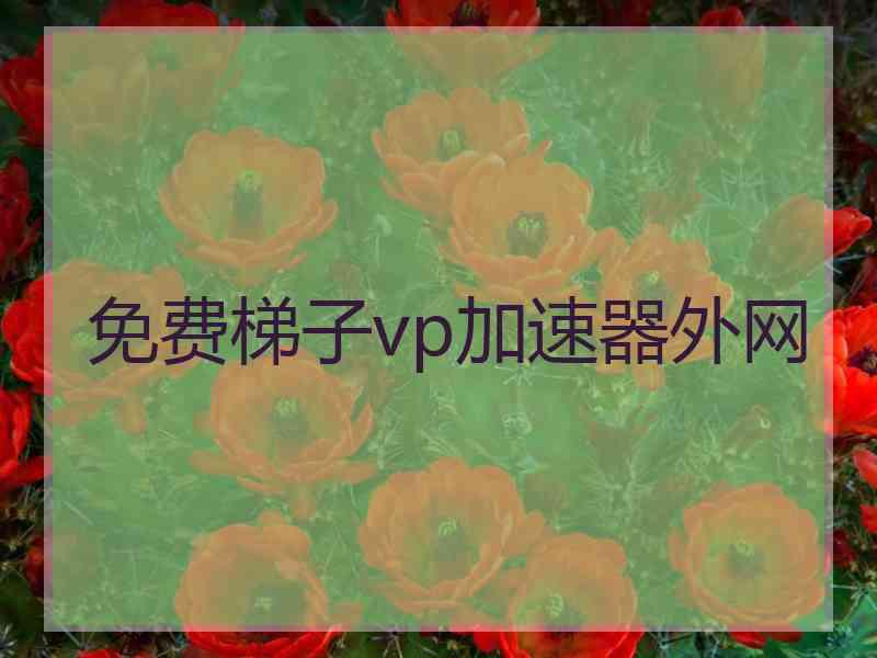 免费梯子vp加速器外网