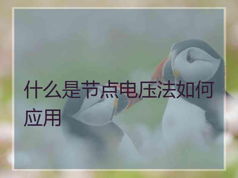 什么是节点电压法如何应用