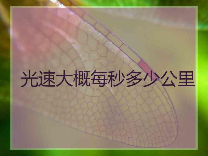 光速大概每秒多少公里