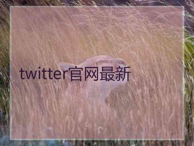 twitter官网最新