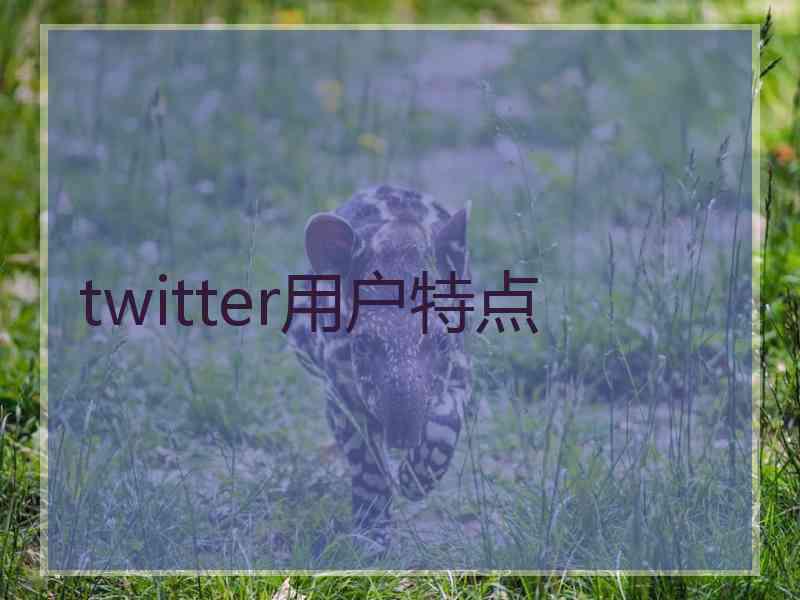 twitter用户特点