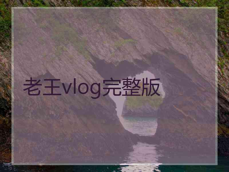 老王vlog完整版