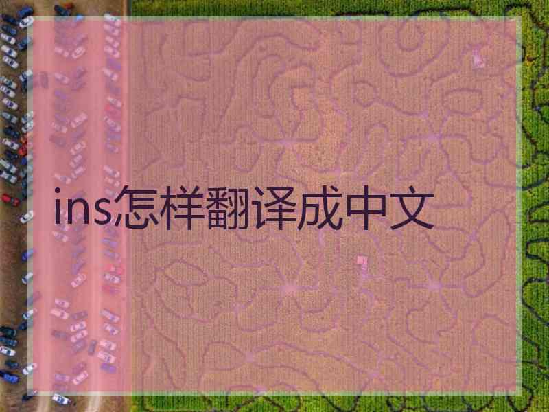 ins怎样翻译成中文