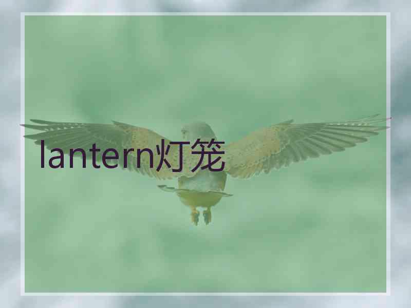 lantern灯笼