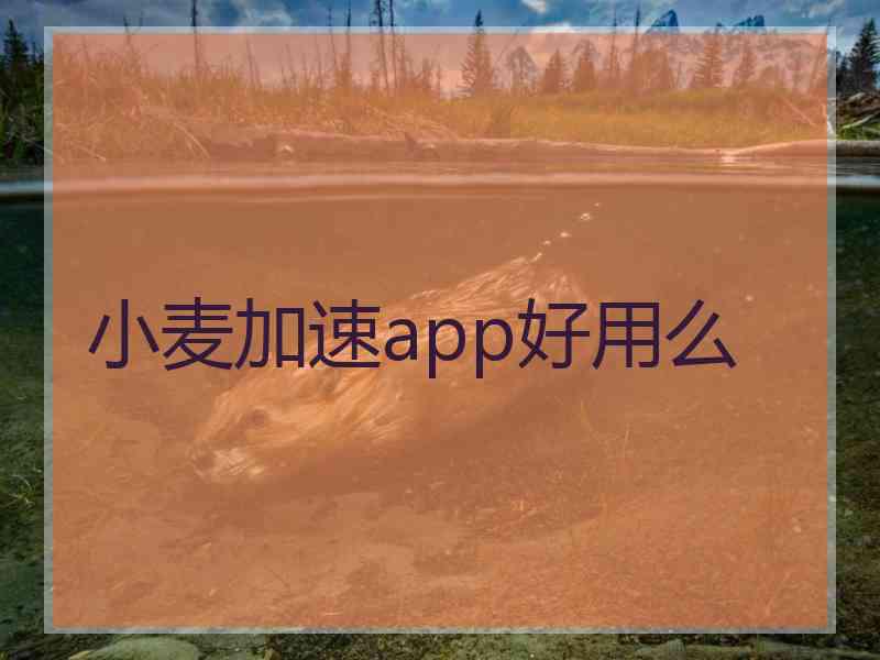 小麦加速app好用么