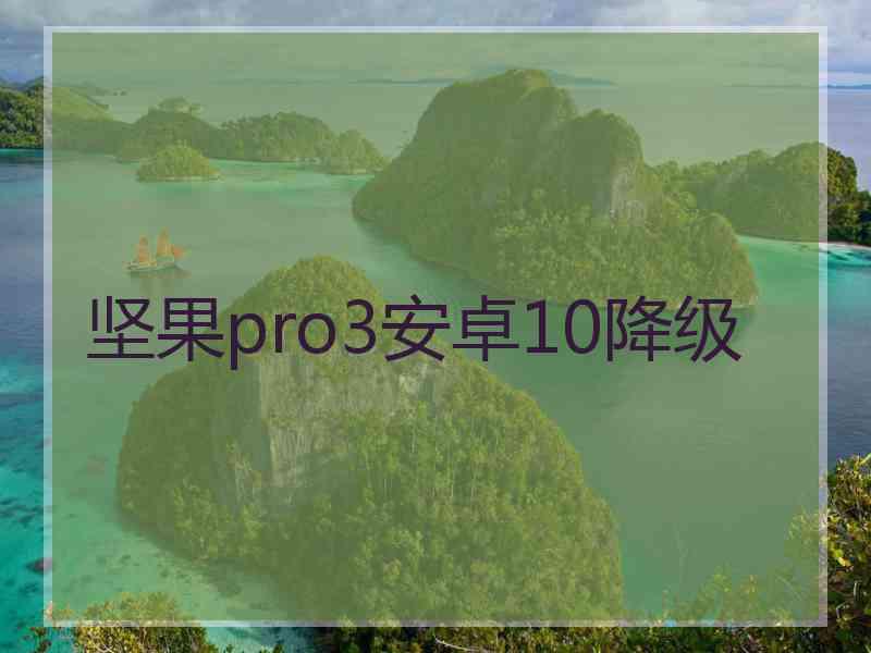 坚果pro3安卓10降级