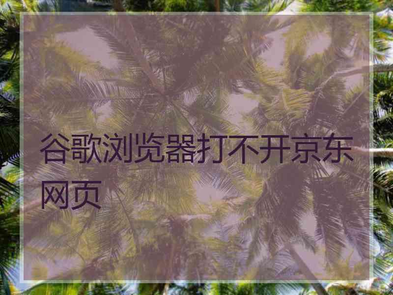 谷歌浏览器打不开京东网页