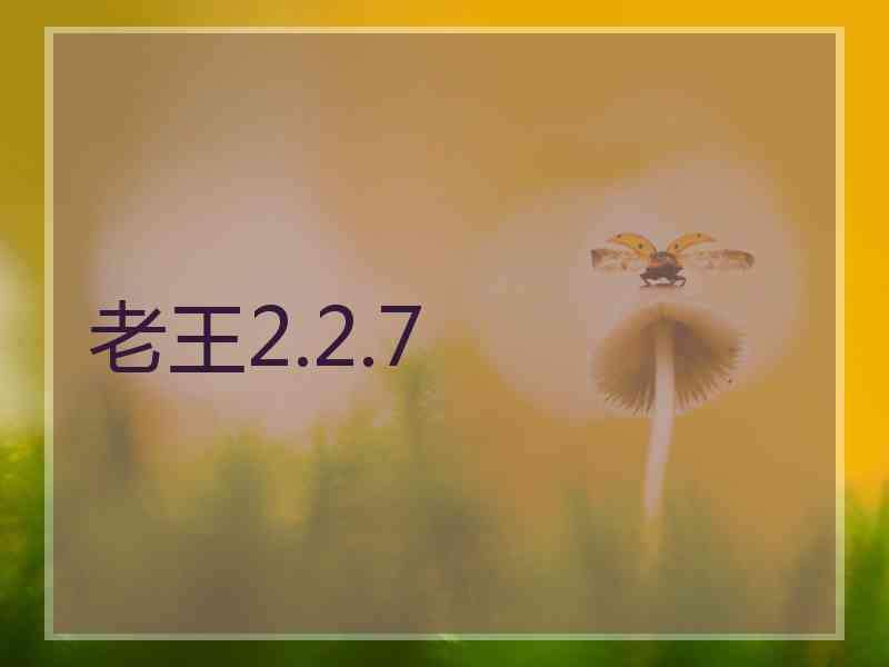 老王2.2.7