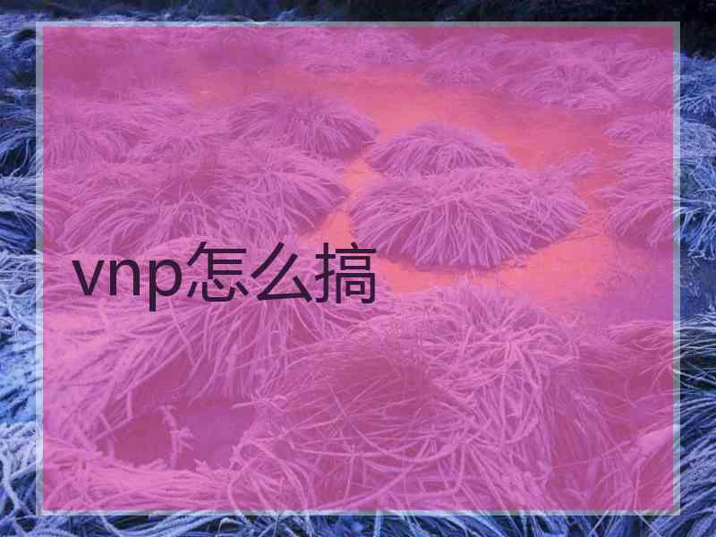 vnp怎么搞