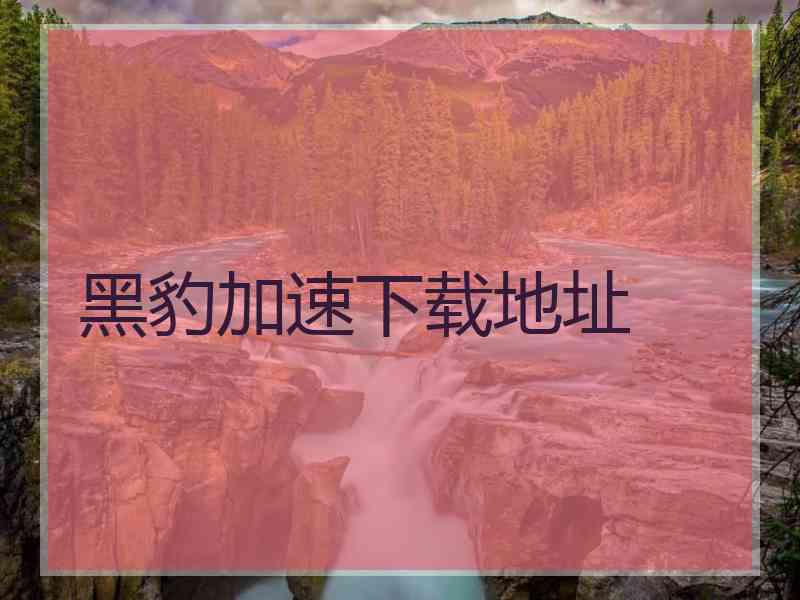 黑豹加速下载地址