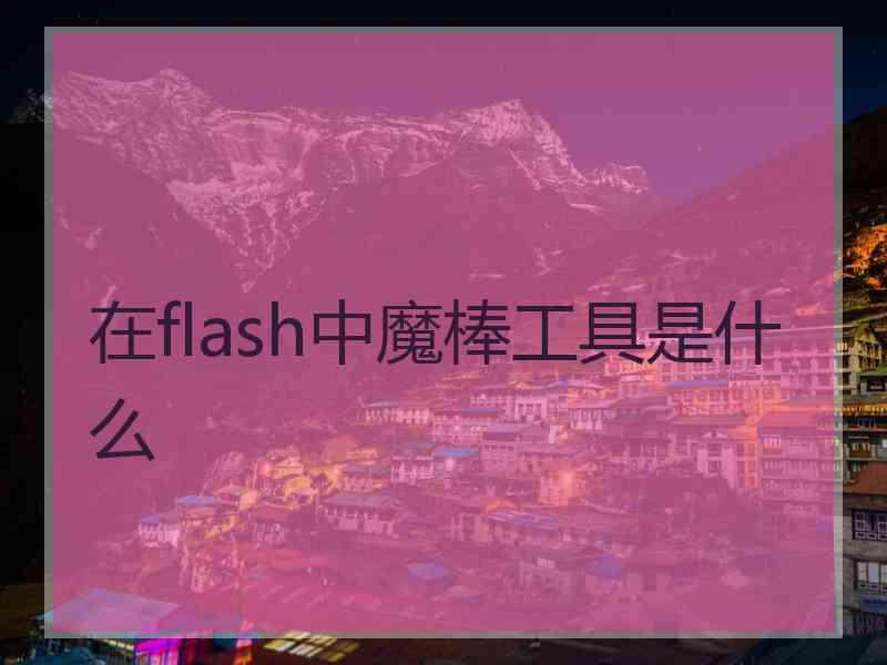 在flash中魔棒工具是什么