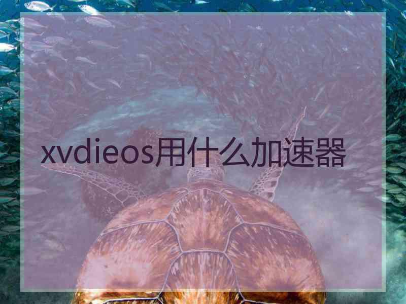 xvdieos用什么加速器