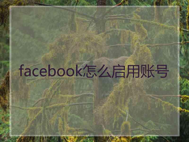 facebook怎么启用账号