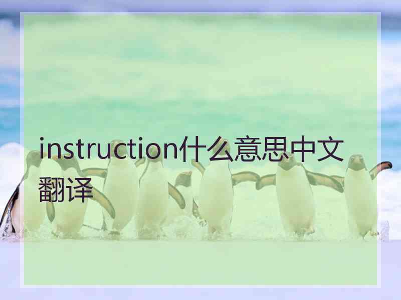 instruction什么意思中文翻译