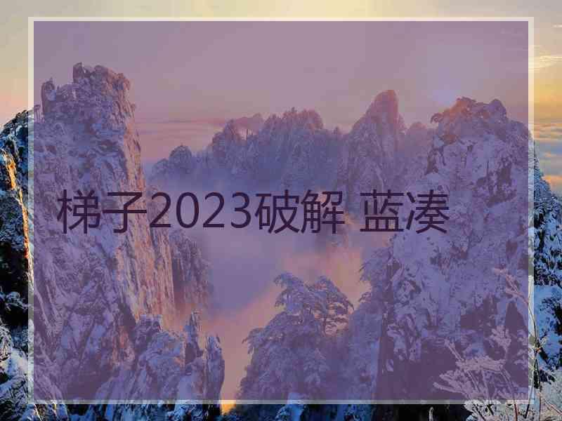 梯子2023破解 蓝凑