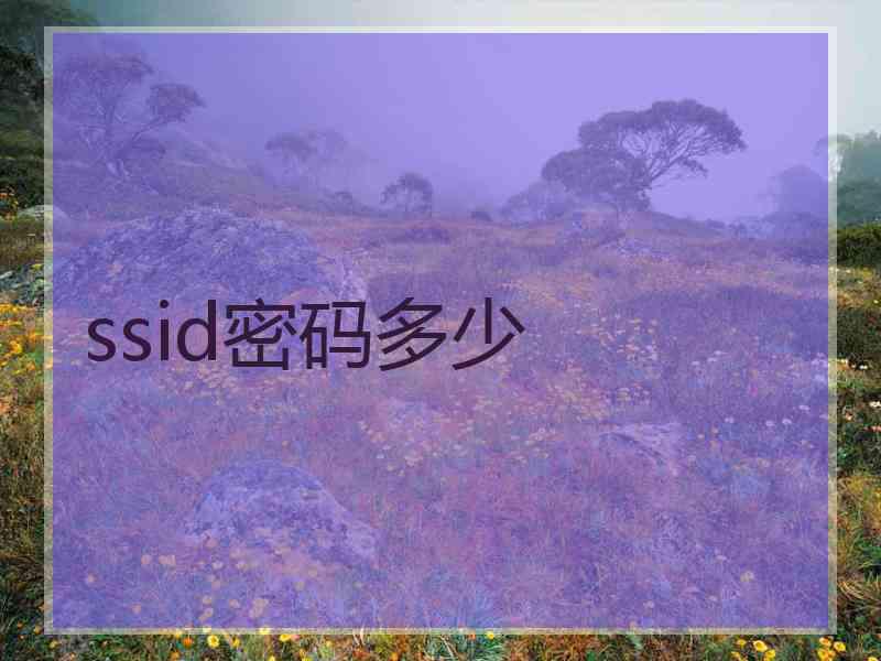 ssid密码多少