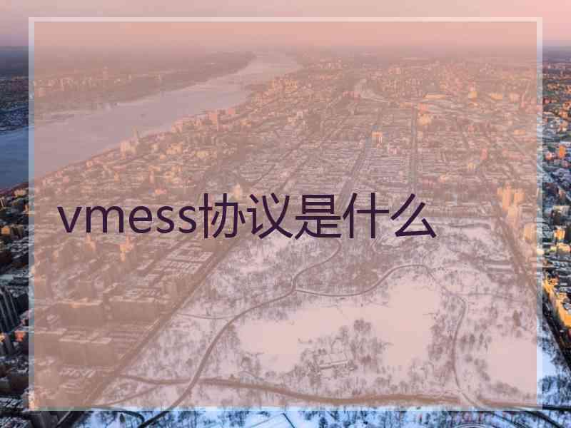 vmess协议是什么