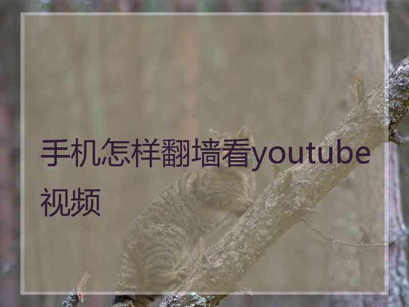 手机怎样翻墙看youtube视频