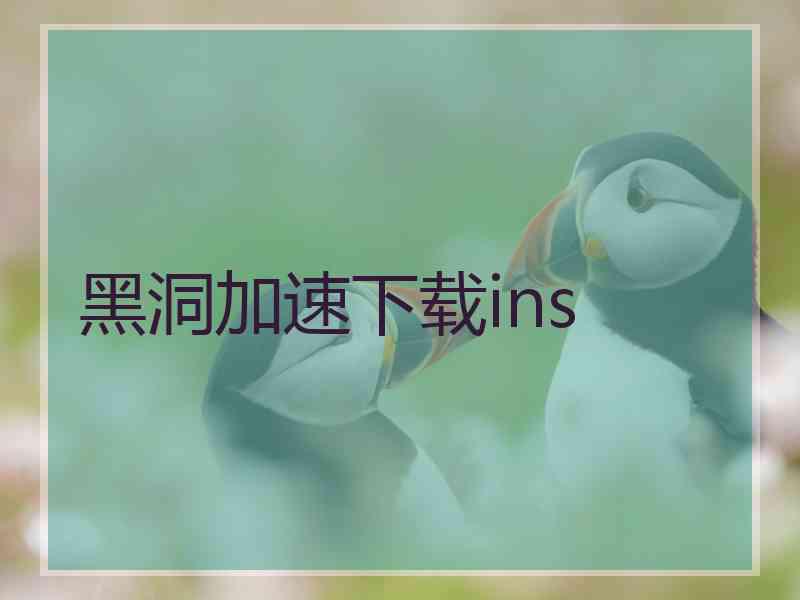 黑洞加速下载ins