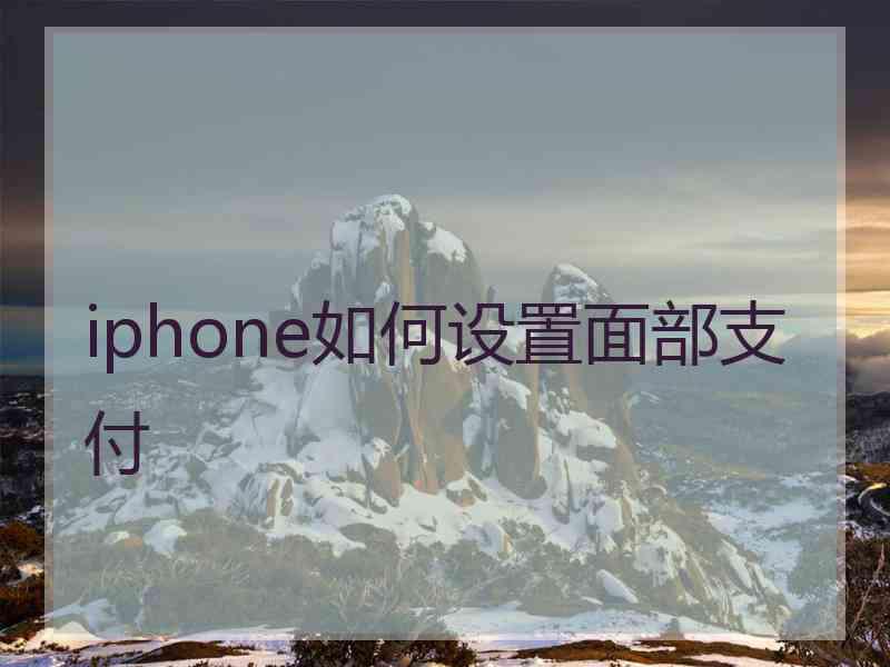 iphone如何设置面部支付